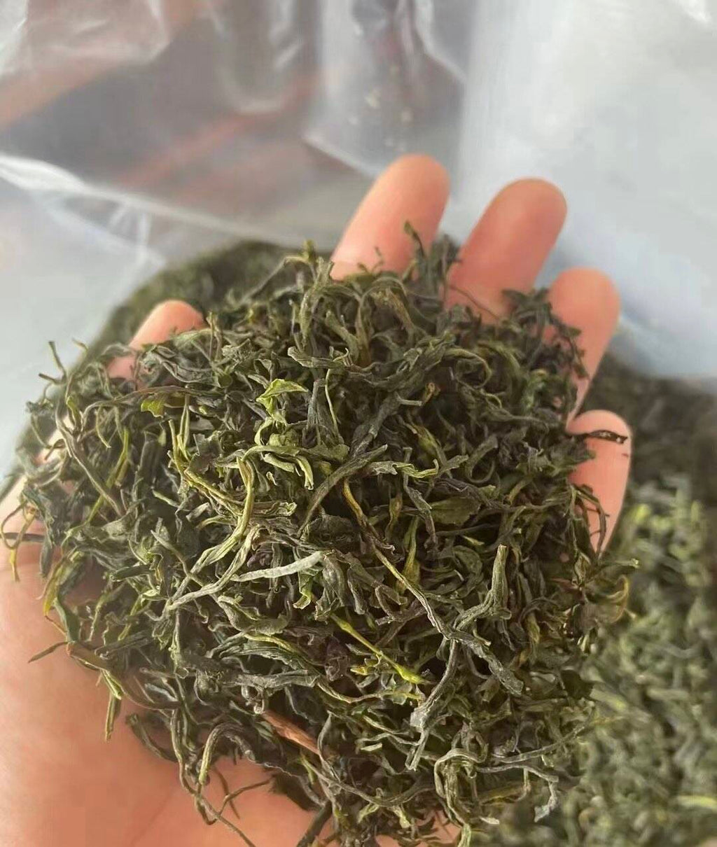 宜兴绿茶（Yixing Green Tea）纯手工茶