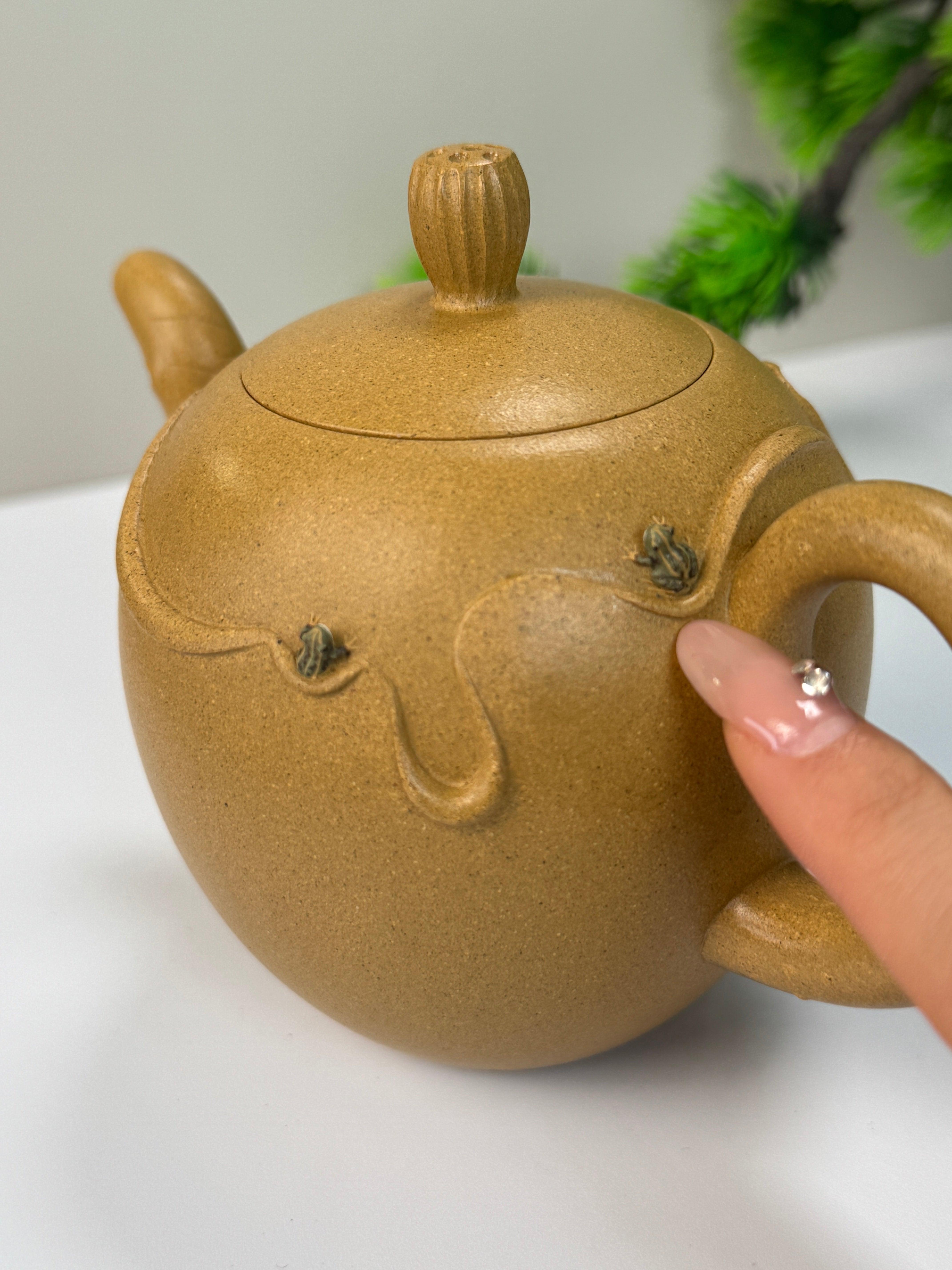 茶壶系列– 嵇芳天空